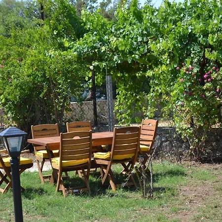 Elit Deniz Palamutbuku