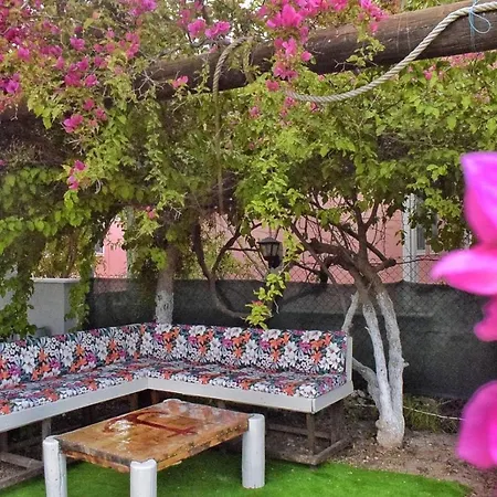 Elit Deniz Palamutbuekue