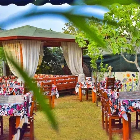 Elit Deniz Palamutbuku