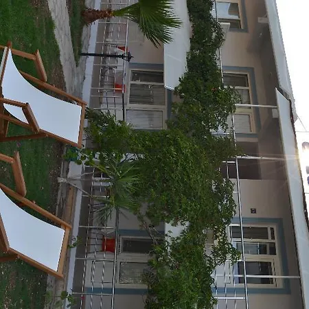 Elit Deniz Palamutbuku