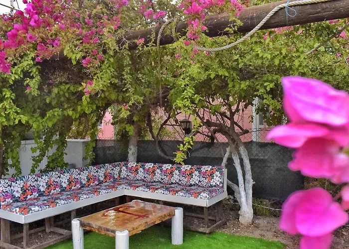 Elit Deniz Palamutbuekue