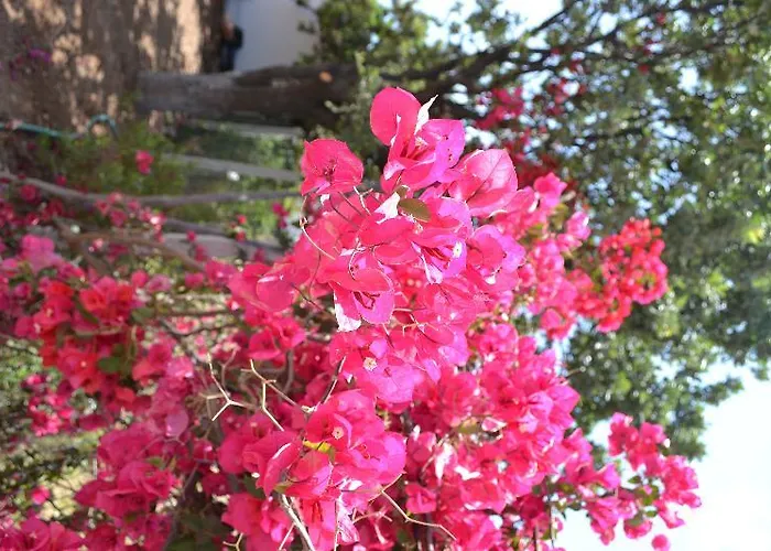 Elit Deniz Palamutbuekue 3* Datça